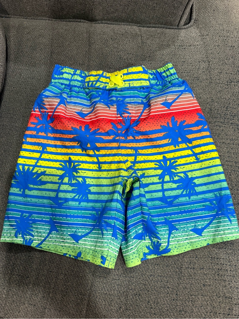 Kids Multicolor Palm Stripe Swim Trunks
